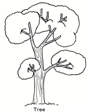 The Leaves Spread by the Tree Coloring Page