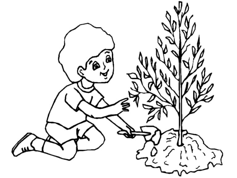 The Little Boy Planted a Tree Coloring Page