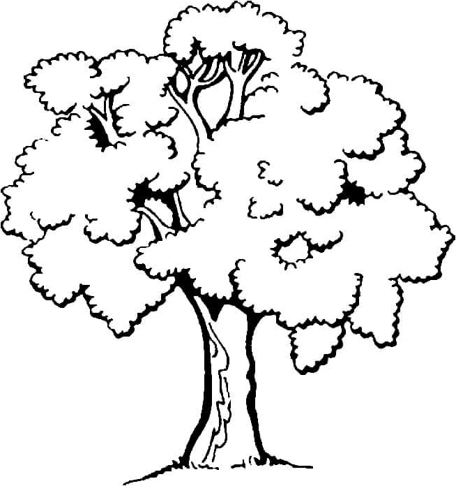 This coloring page is called 