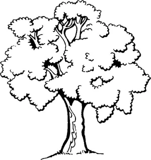 This coloring page is called "Abundant Forest." Coloring Page