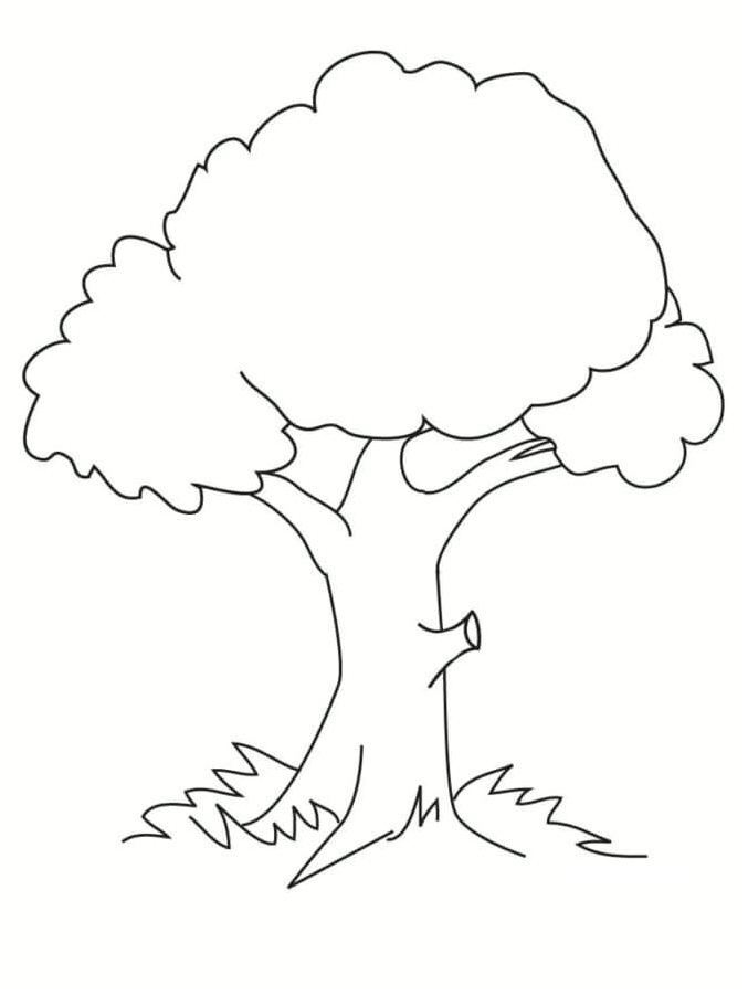 Tree Frame Coloring Page Coloring Page