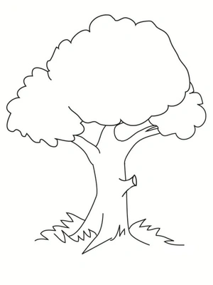 Tree Frame Coloring Page Coloring Page