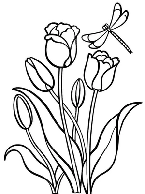 Dragonfly and Tulips Coloring Page