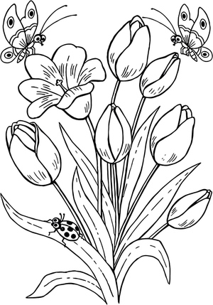 Tulip