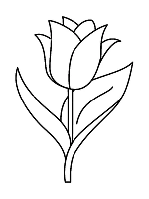 Printable Tulip Design - Avoid Naming it Tulip Coloring Page Coloring Page