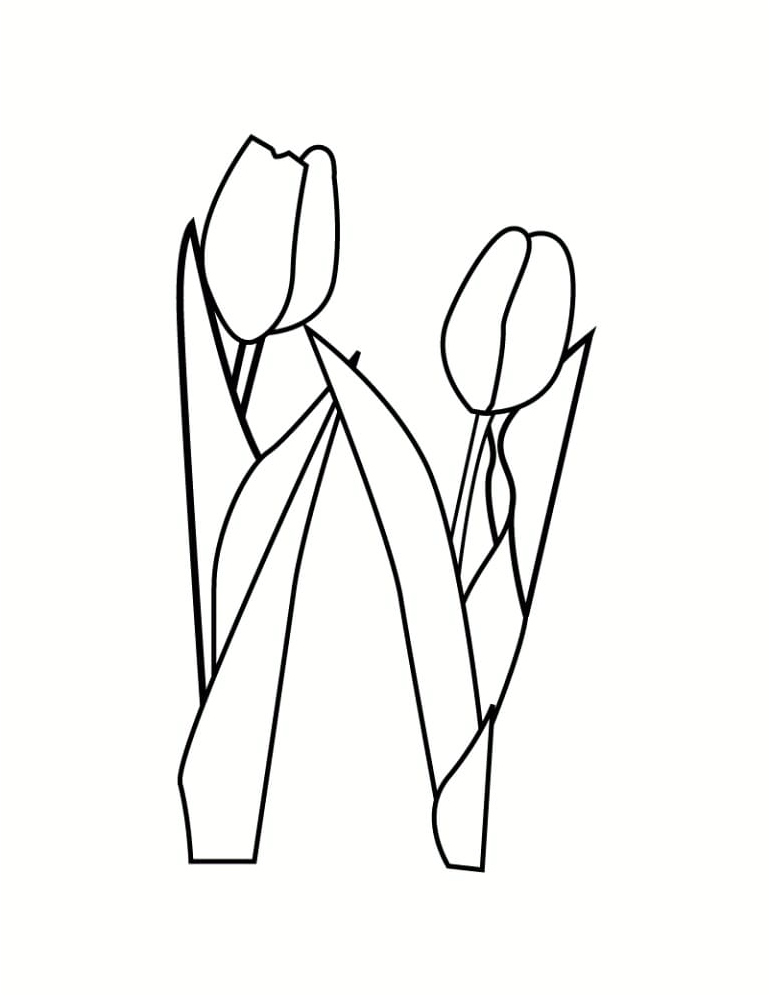 Tulips with a Simple Design Coloring Page