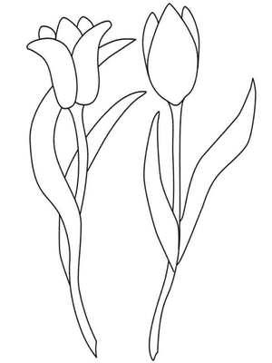 Twin Tulips Coloring Page