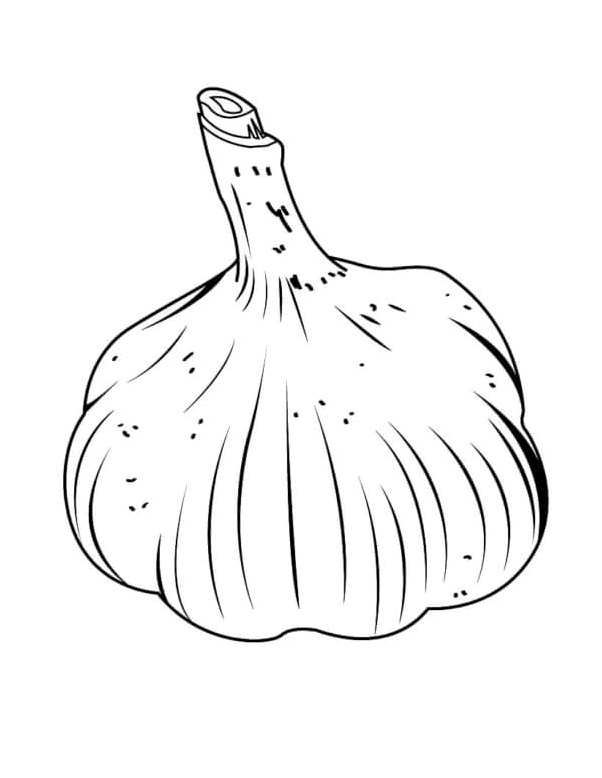 A Page for Garlic Coloring Coloring Page