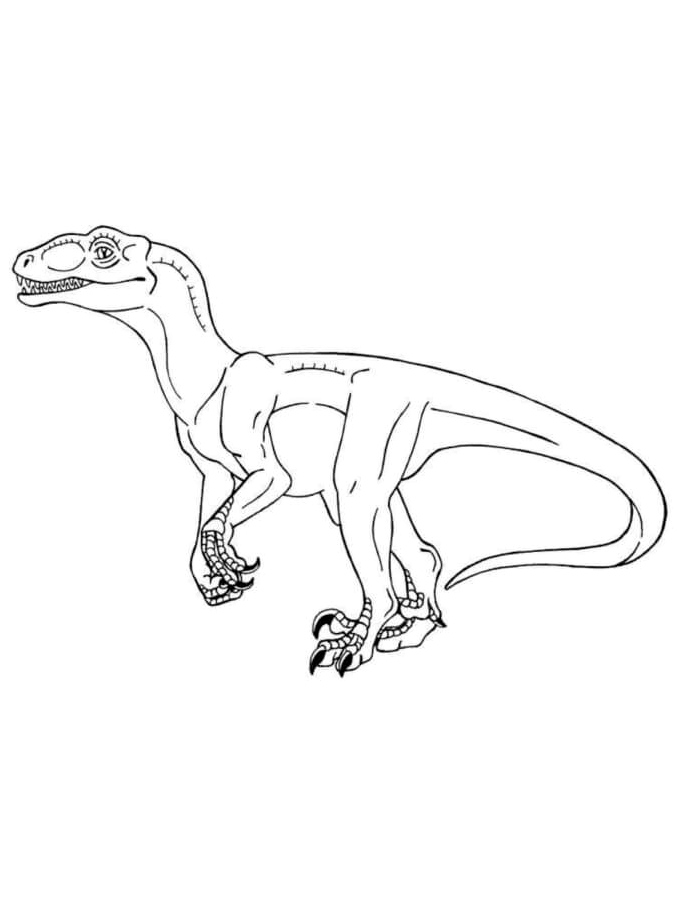 Incredible Velociraptor Coloring Page