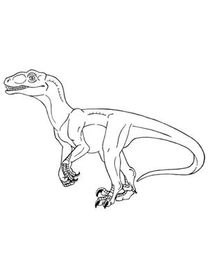 Incredible Velociraptor Coloring Page