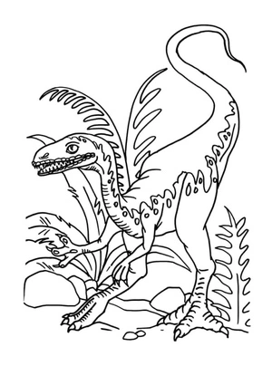 Velociraptor Number 10 Coloring Page