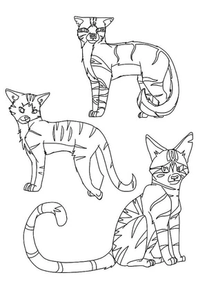 Tabby Warriors Cats Coloring Page