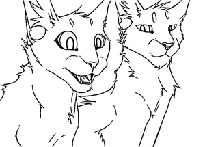 Warriors Cats