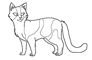 Warriors Cats by the Bubbling Stream