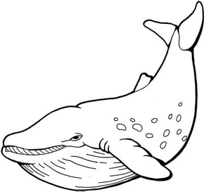 Average Whale Coloring Page