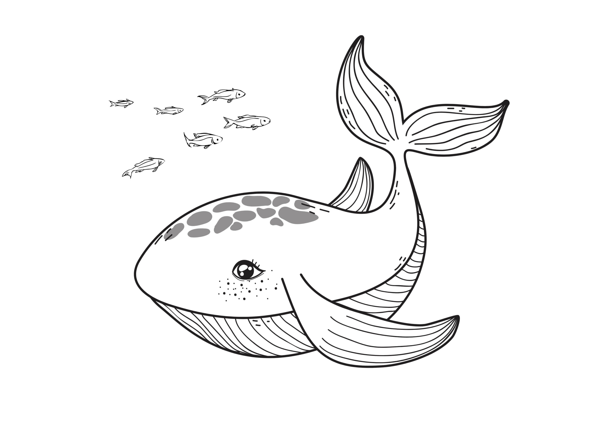 Cute Whale Coloring Page