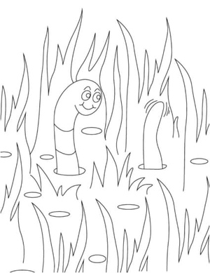 Colorful Worm