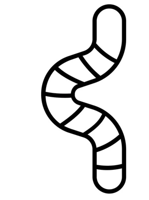 Friendly Worm Coloring Page