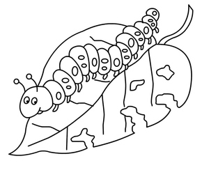 Leaf-Eating Worm